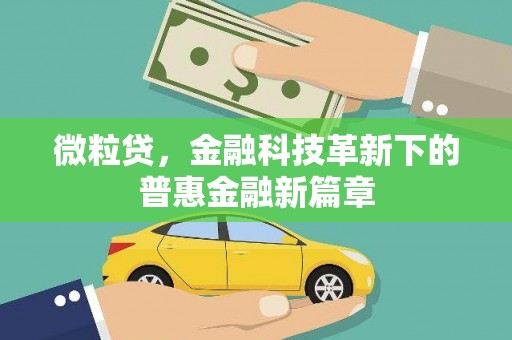 崇明微粒贷，金融科技革新下的普惠金融新篇章