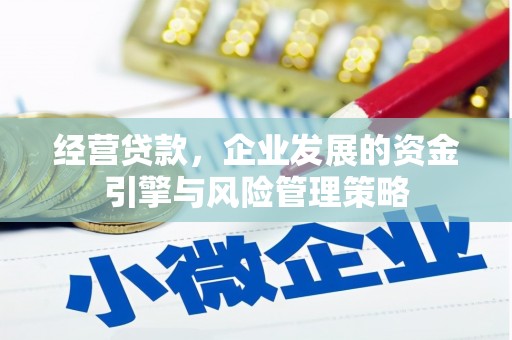 崇明经营贷款，企业发展的资金引擎与风险管理策略