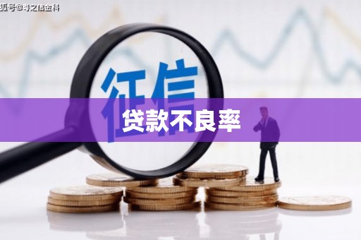 崇明贷款不良率