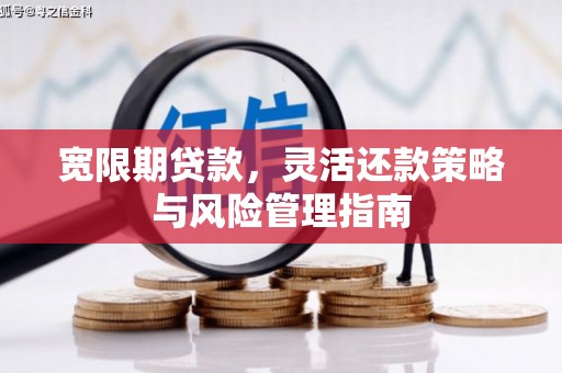 崇明宽限期贷款，灵活还款策略与风险管理指南