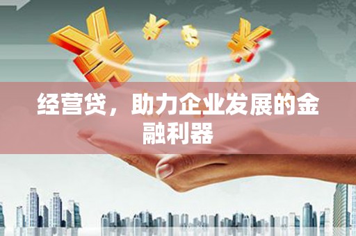 崇明经营贷，助力企业发展的金融利器