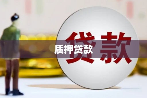 崇明质押贷款