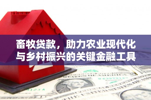 崇明畜牧贷款，助力农业现代化与乡村振兴的关键金融工具