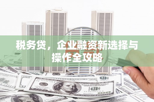 崇明税务贷，企业融资新选择与操作全攻略