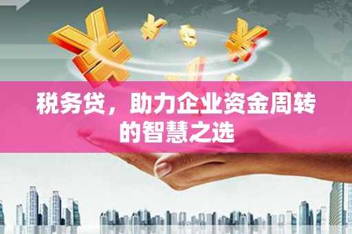 崇明税务贷，助力企业资金周转的智慧之选