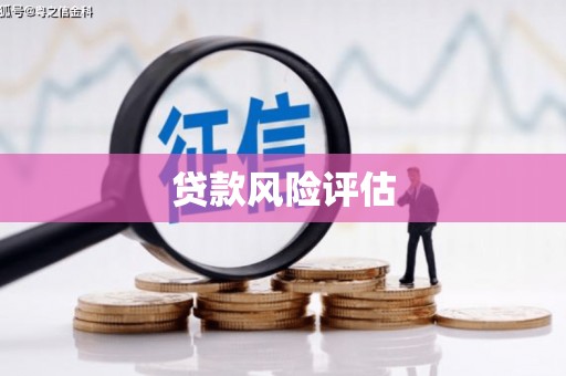 崇明贷款风险评估