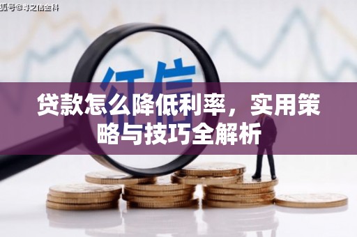 崇明贷款怎么降低利率，实用策略与技巧全解析