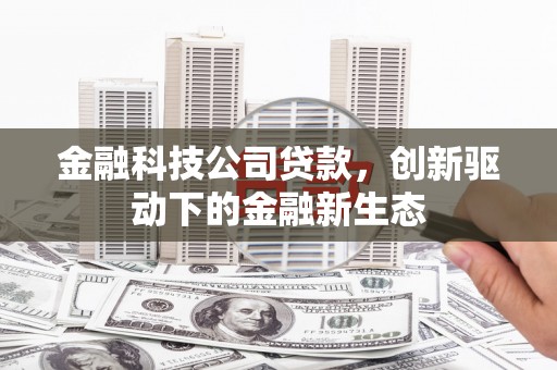 崇明金融科技公司贷款，创新驱动下的金融新生态