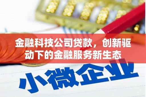 崇明金融科技公司贷款，创新驱动下的金融服务新生态