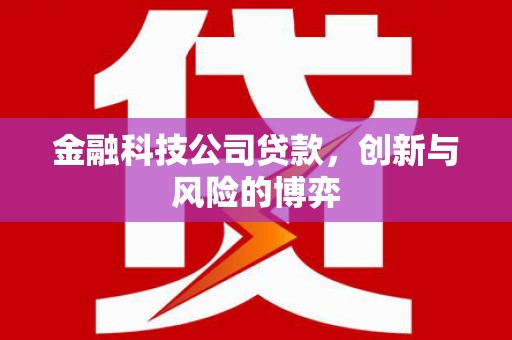 崇明金融科技公司贷款，创新与风险的博弈