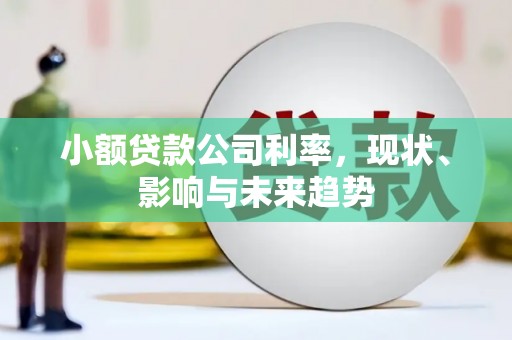 崇明小额贷款公司利率，现状、影响与未来趋势