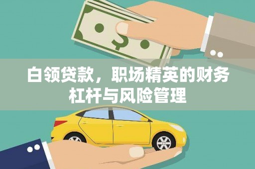 崇明白领贷款，职场精英的财务杠杆与风险管理