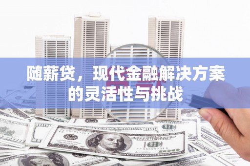 崇明随薪贷，现代金融解决方案的灵活性与挑战