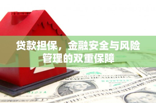 崇明贷款担保，金融安全与风险管理的双重保障