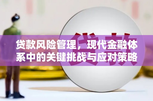 崇明贷款风险管理，现代金融体系中的关键挑战与应对策略