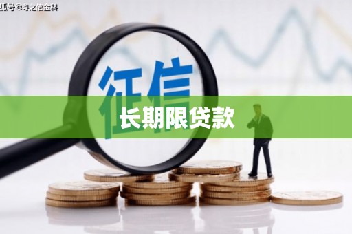 崇明长期限贷款
