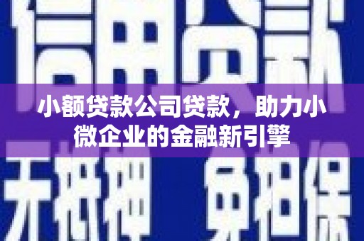 崇明小额贷款公司贷款，助力小微企业的金融新引擎