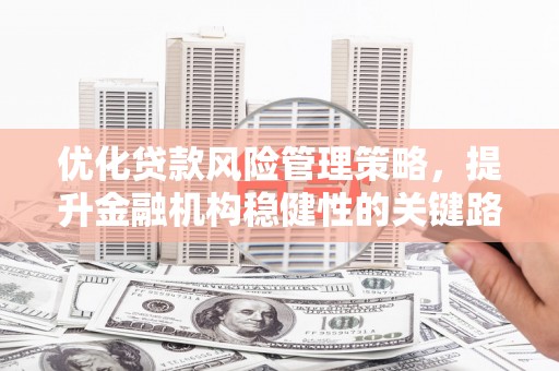 崇明优化贷款风险管理策略，提升金融机构稳健性的关键路径