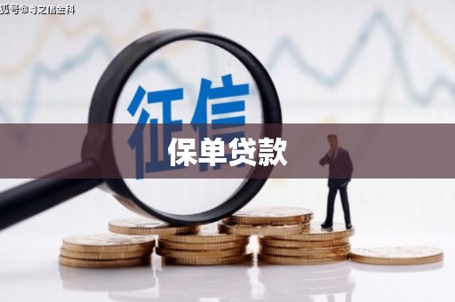 崇明保单贷款