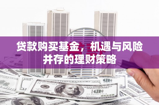 崇明贷款购买基金，机遇与风险并存的理财策略