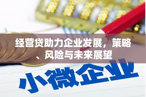 崇明经营贷助力企业发展，策略、风险与未来展望
