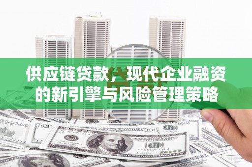 崇明供应链贷款，现代企业融资的新引擎与风险管理策略