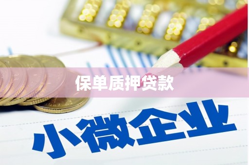 崇明保单质押贷款