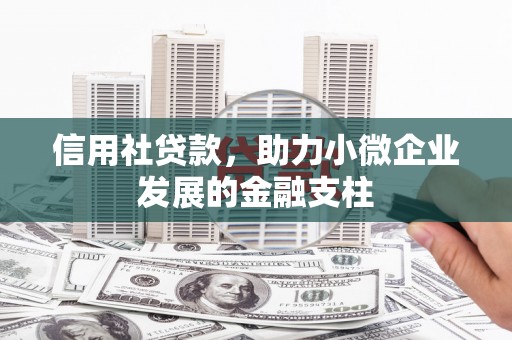 崇明信用社贷款，助力小微企业发展的金融支柱