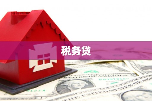 崇明税务贷