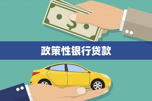 崇明政策性银行贷款