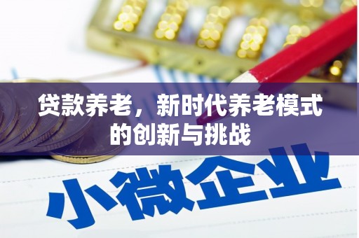 崇明贷款养老，新时代养老模式的创新与挑战