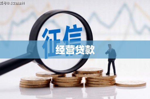 崇明经营贷款