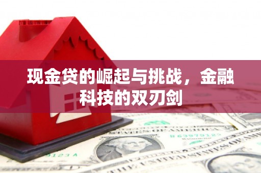 崇明现金贷的崛起与挑战，金融科技的双刃剑