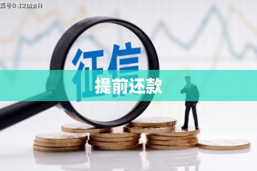 崇明提前还款