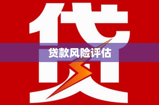 崇明贷款风险评估