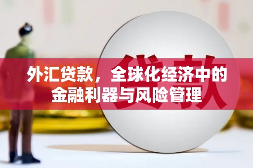 崇明外汇贷款，全球化经济中的金融利器与风险管理