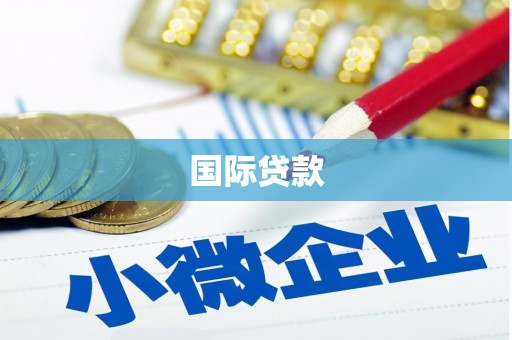 崇明国际贷款