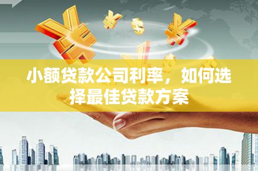 崇明小额贷款公司利率，如何选择最佳贷款方案