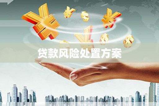 崇明贷款风险处置方案