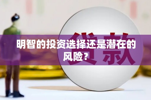 崇明明智的投资选择还是潜在的风险？