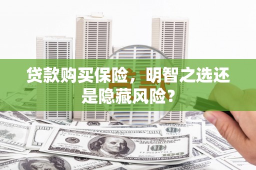 崇明贷款购买保险，明智之选还是隐藏风险？