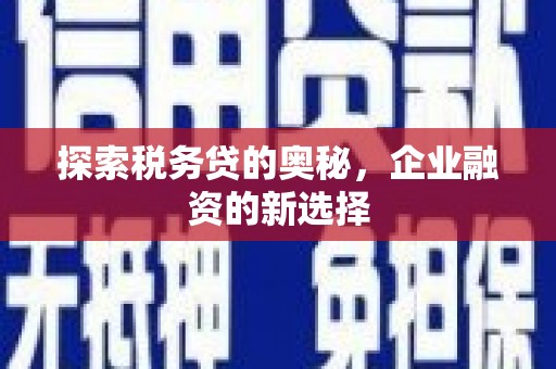 崇明探索税务贷的奥秘，企业融资的新选择