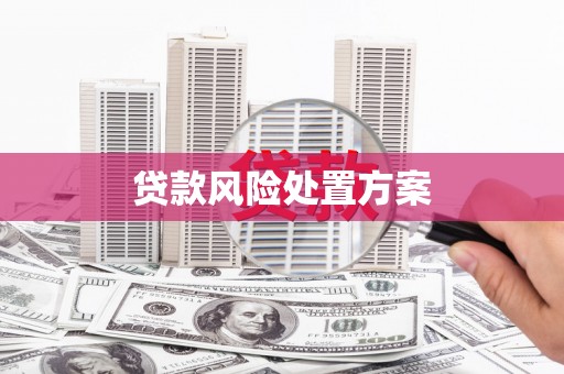 崇明贷款风险处置方案