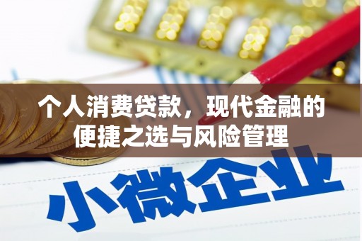崇明个人消费贷款，现代金融的便捷之选与风险管理