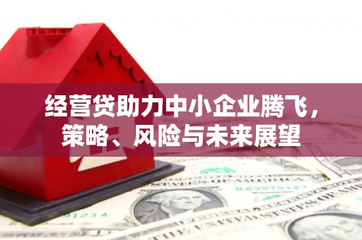 崇明经营贷助力中小企业腾飞，策略、风险与未来展望
