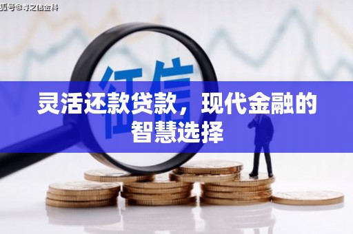 崇明灵活还款贷款，现代金融的智慧选择