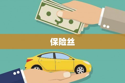 崇明保险丝