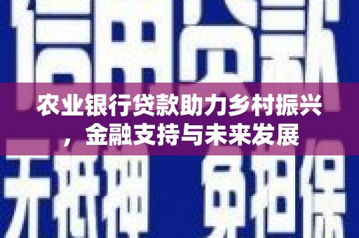 崇明农业银行贷款助力乡村振兴，金融支持与未来发展