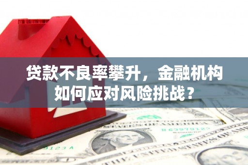 崇明贷款不良率攀升，金融机构如何应对风险挑战？