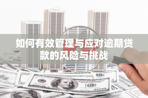 崇明如何有效管理与应对逾期贷款的风险与挑战